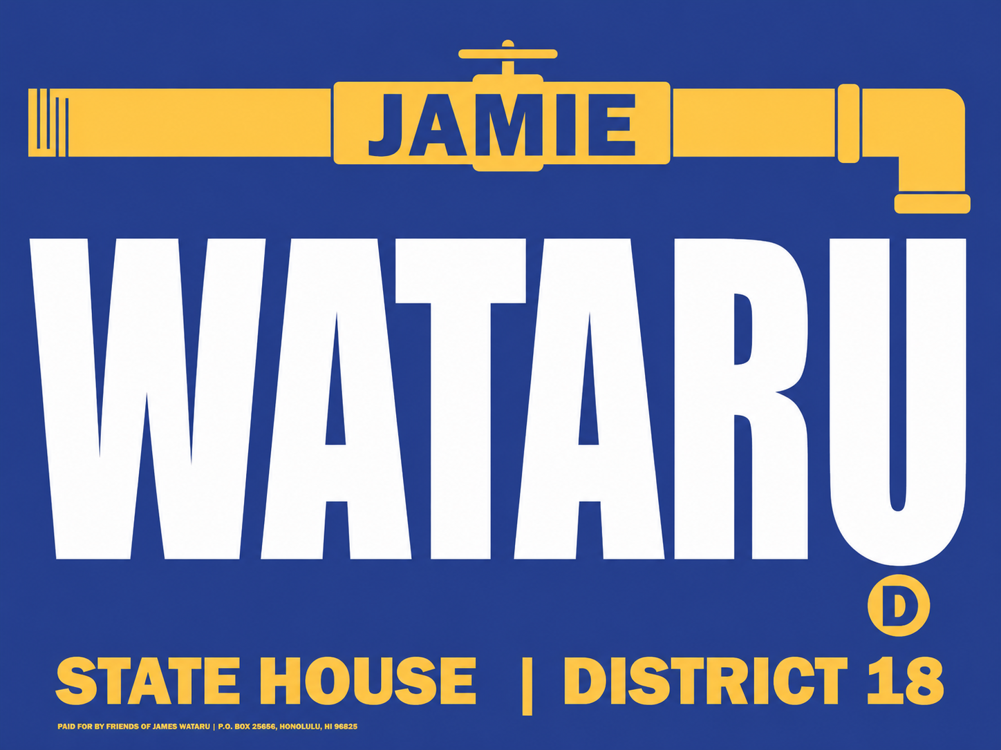 Jamie Wataru, State House, District 18